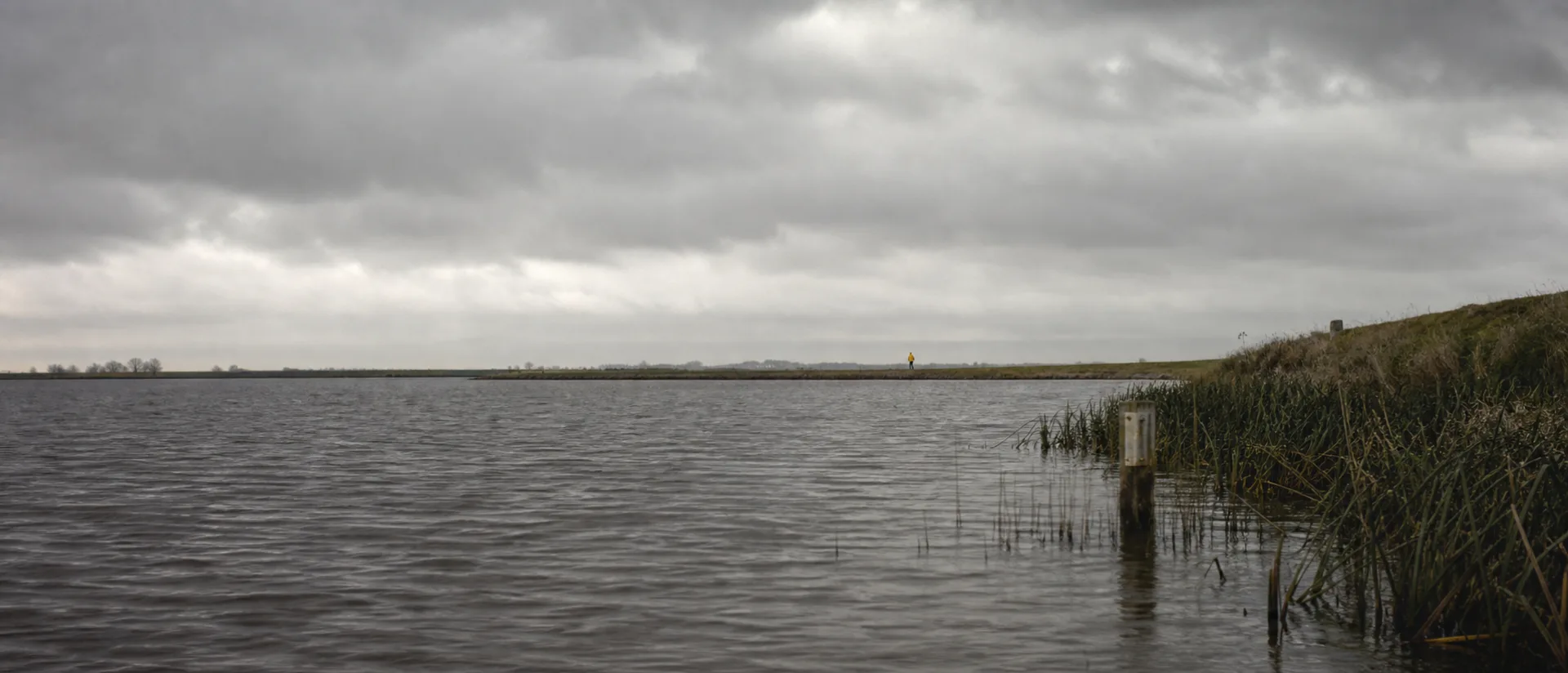 Grey lake under low cloud with reeds and a marker post on the shore