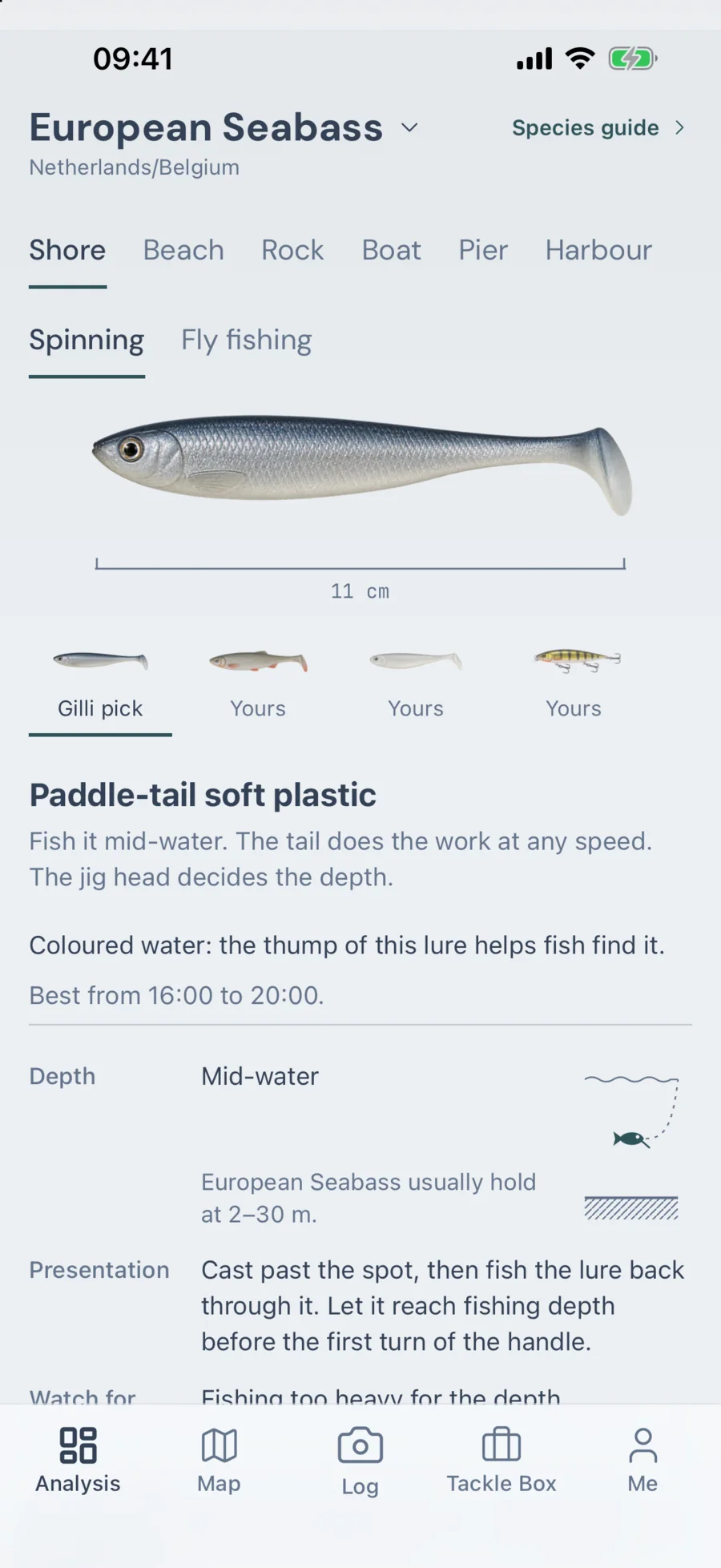 Méthode GILLI pour pêcher le bar du bord : leurre souple à queue paddle, à mi-eau, avec les meilleures conditions de 16:00 à 20:00